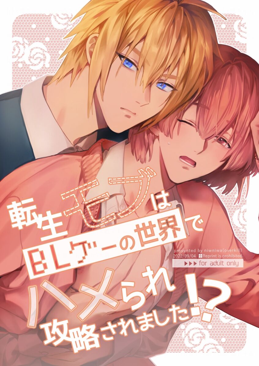 Sex with the Love Interest! But I'm an NPC! 1 cover