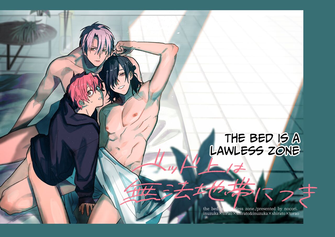 There Are No Rules in the Bedroom! cover