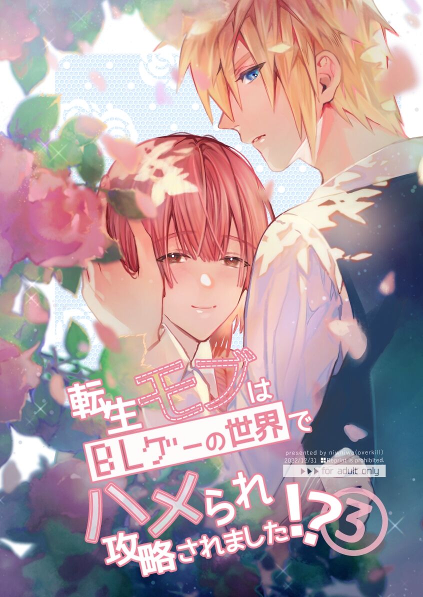 Sex with the Love Interest! But I'm an NPC! 3 cover