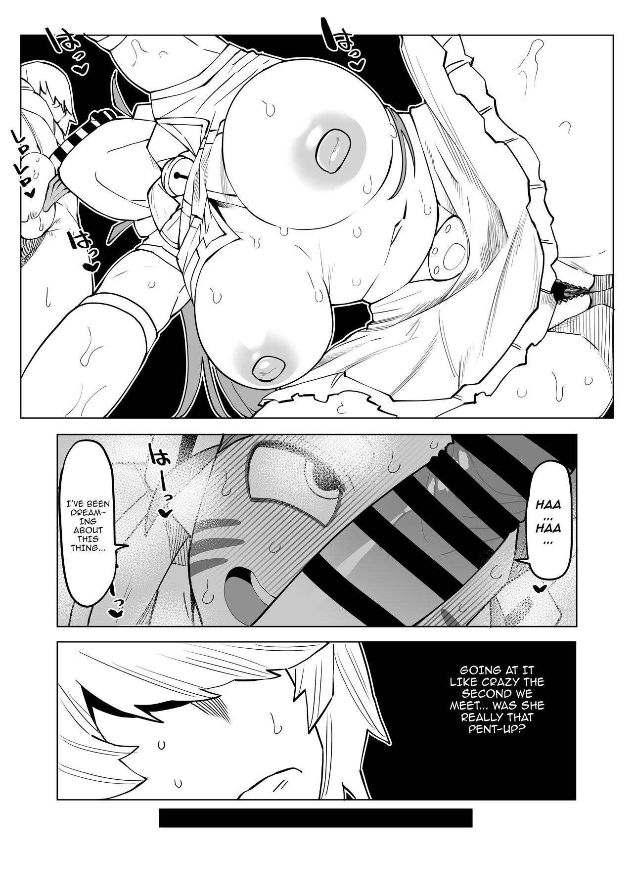 Inverted Morality Hero Academia ~Ragdoll's Case~ cover