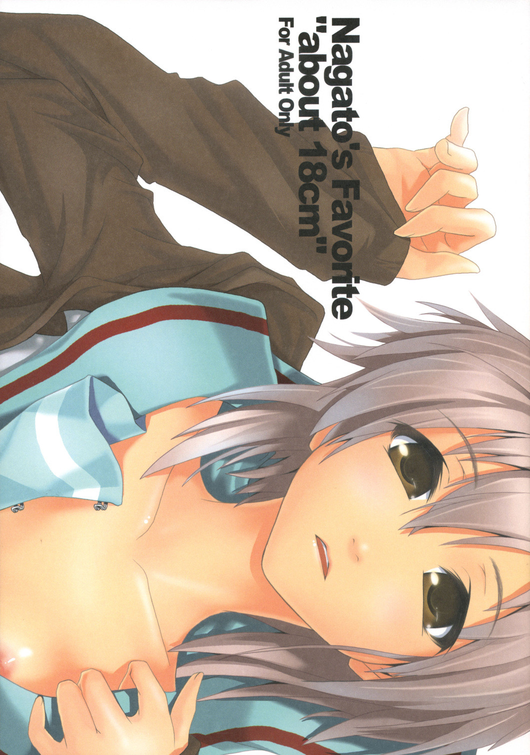 Nagato's Favorite "about 18cm" cover