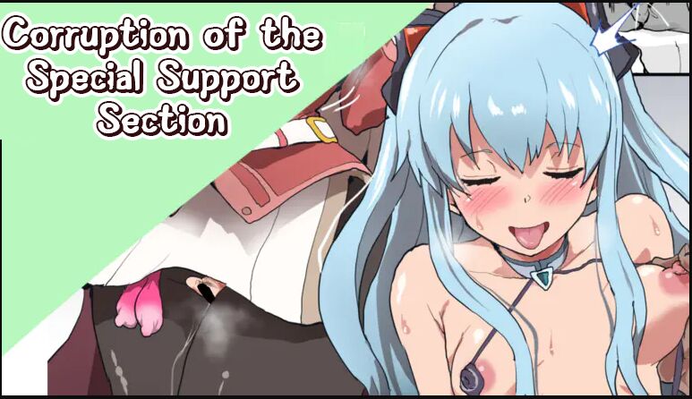 Corruption of the Special Support Section cover
