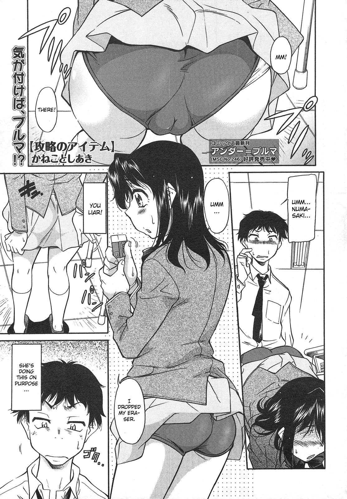 Kouryaku no item cover