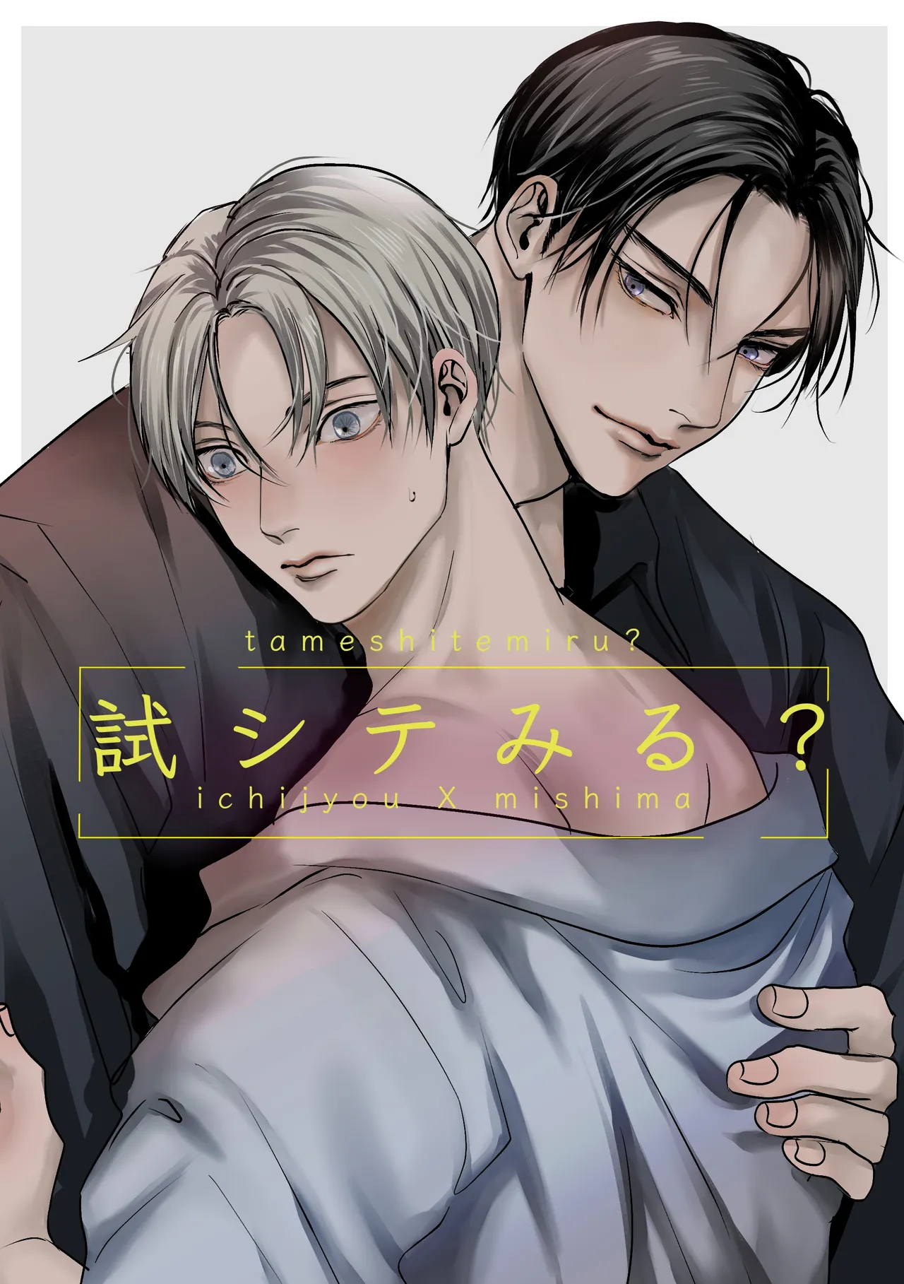 Tameshite Miru? cover