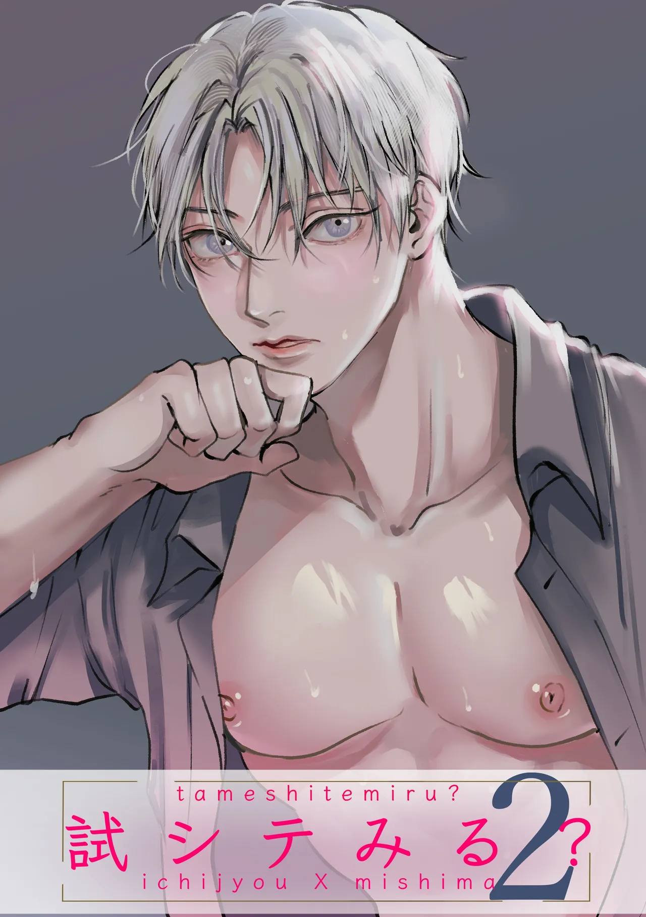 Tameshite Miru? 2 cover