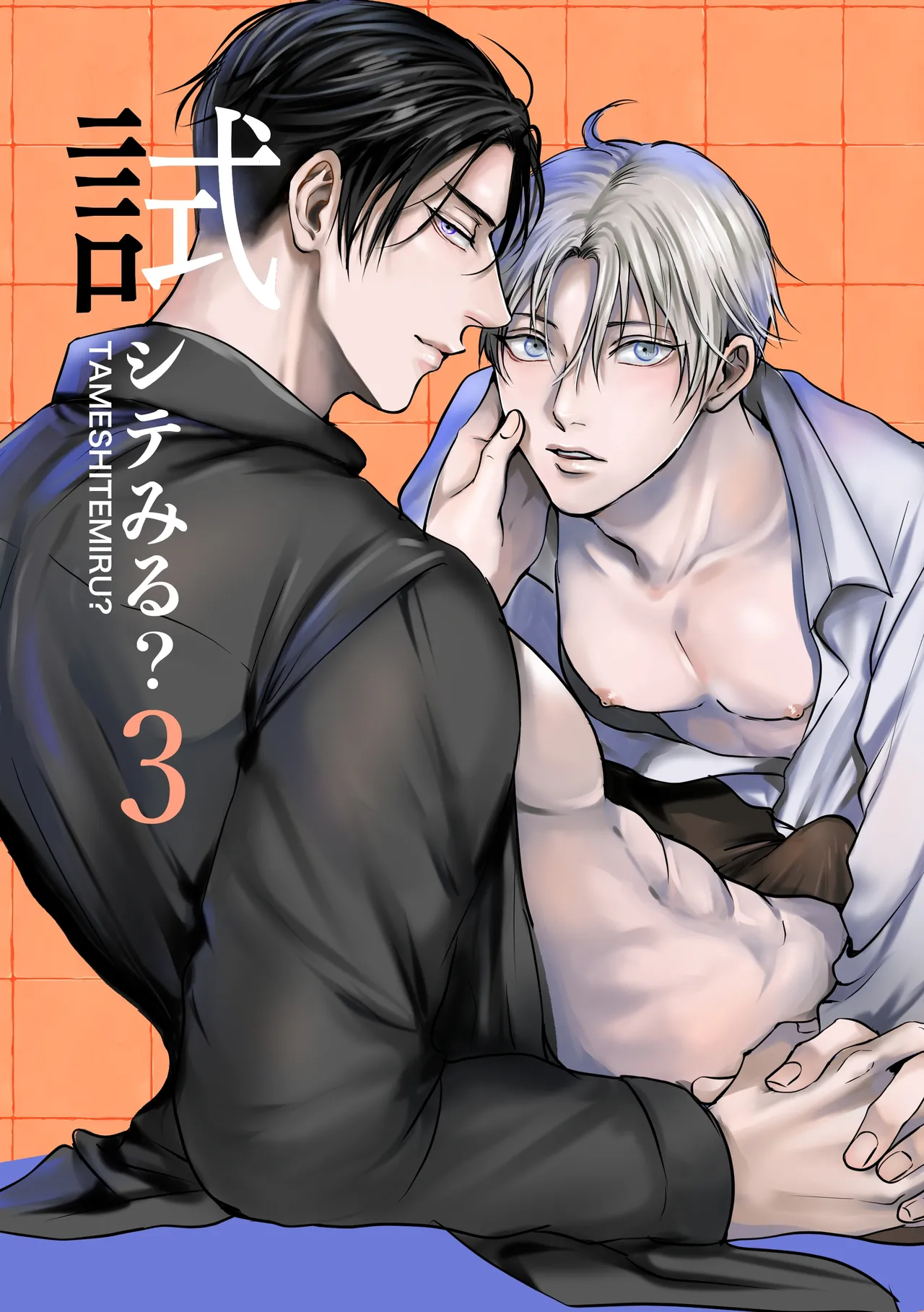 Tameshite Miru? 3 cover