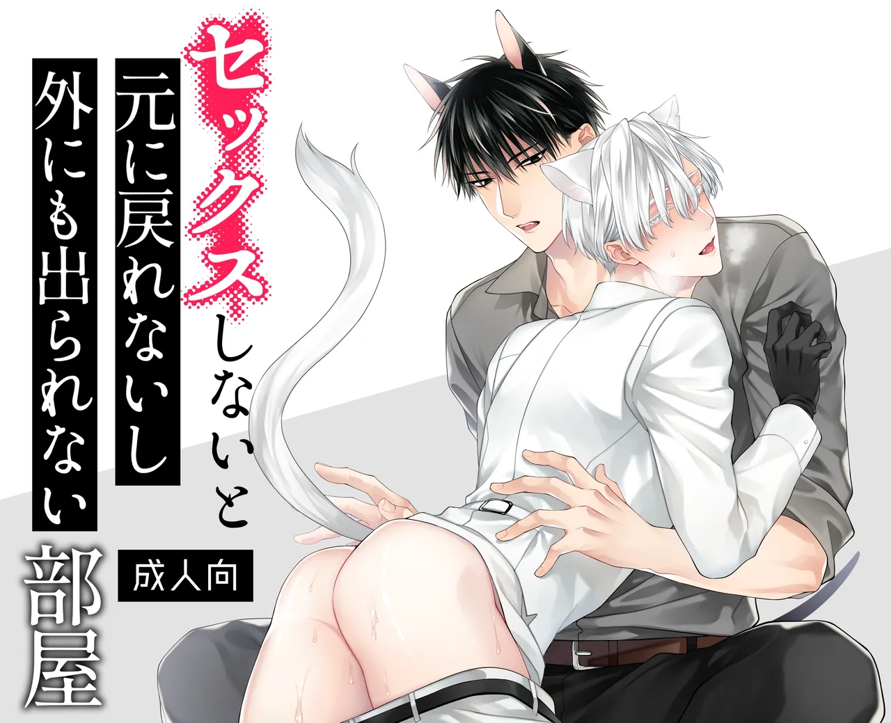 Sex Shinai to Motonimodorenai Shigai ni mo Derarenai Heya cover