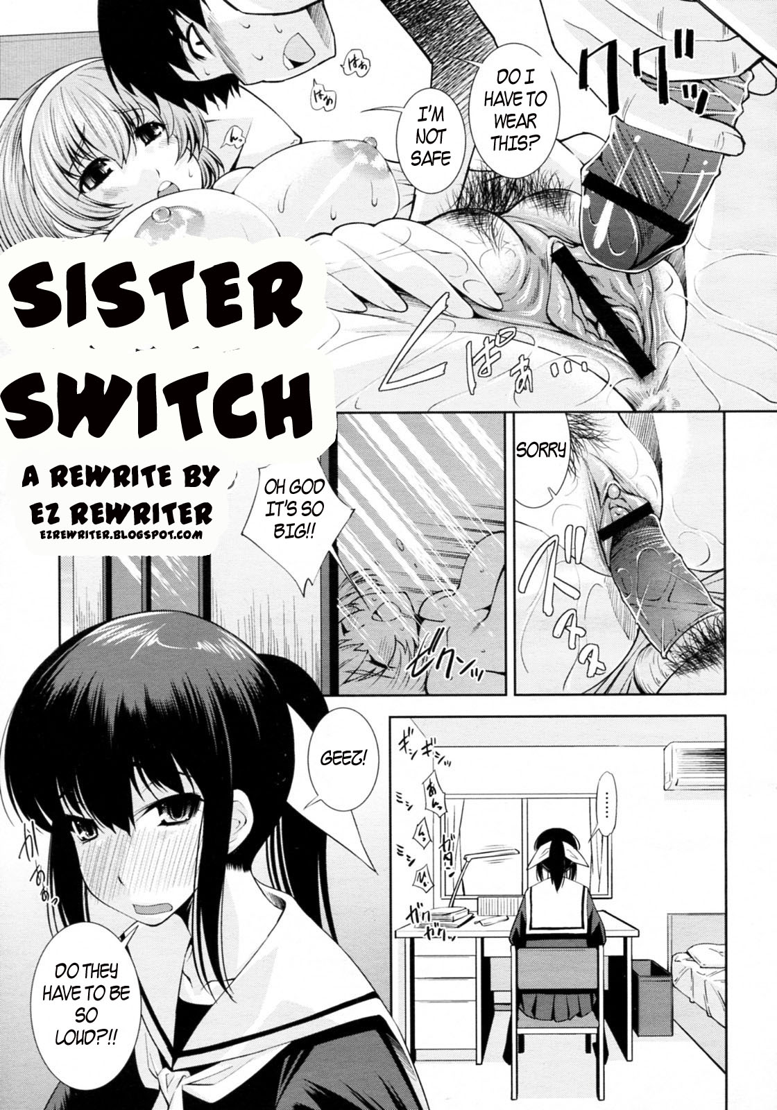 Sister Switch cover