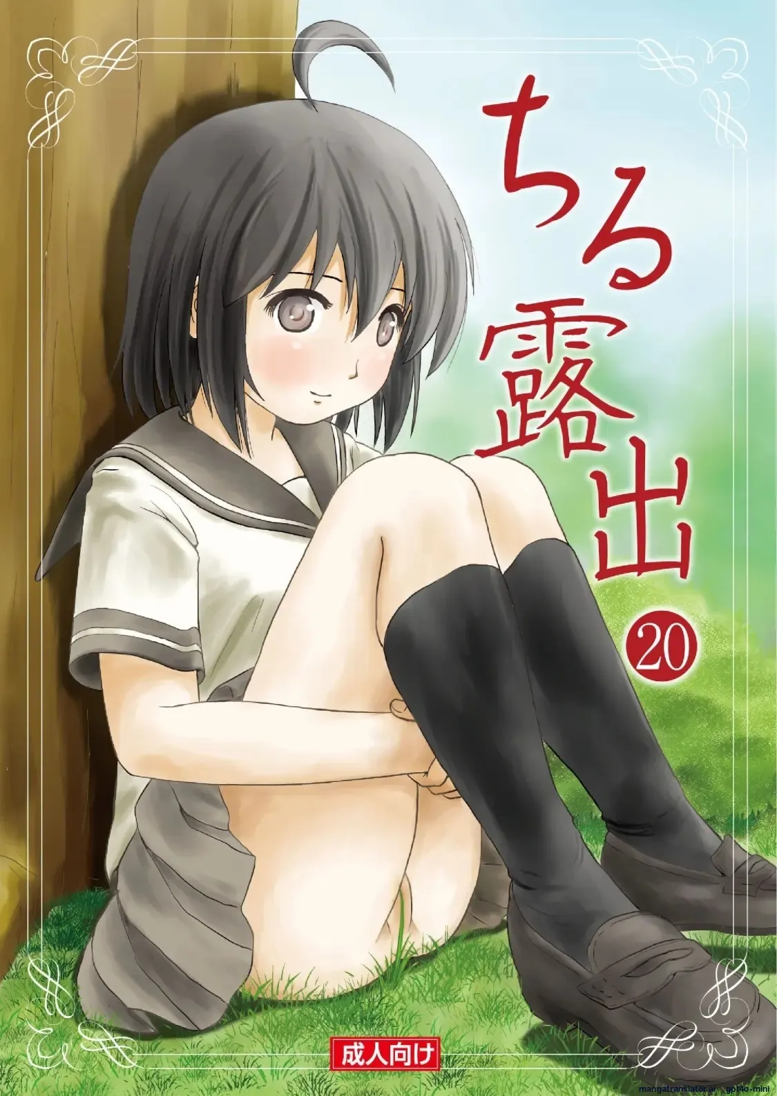 Chiru Exposure 20 cover