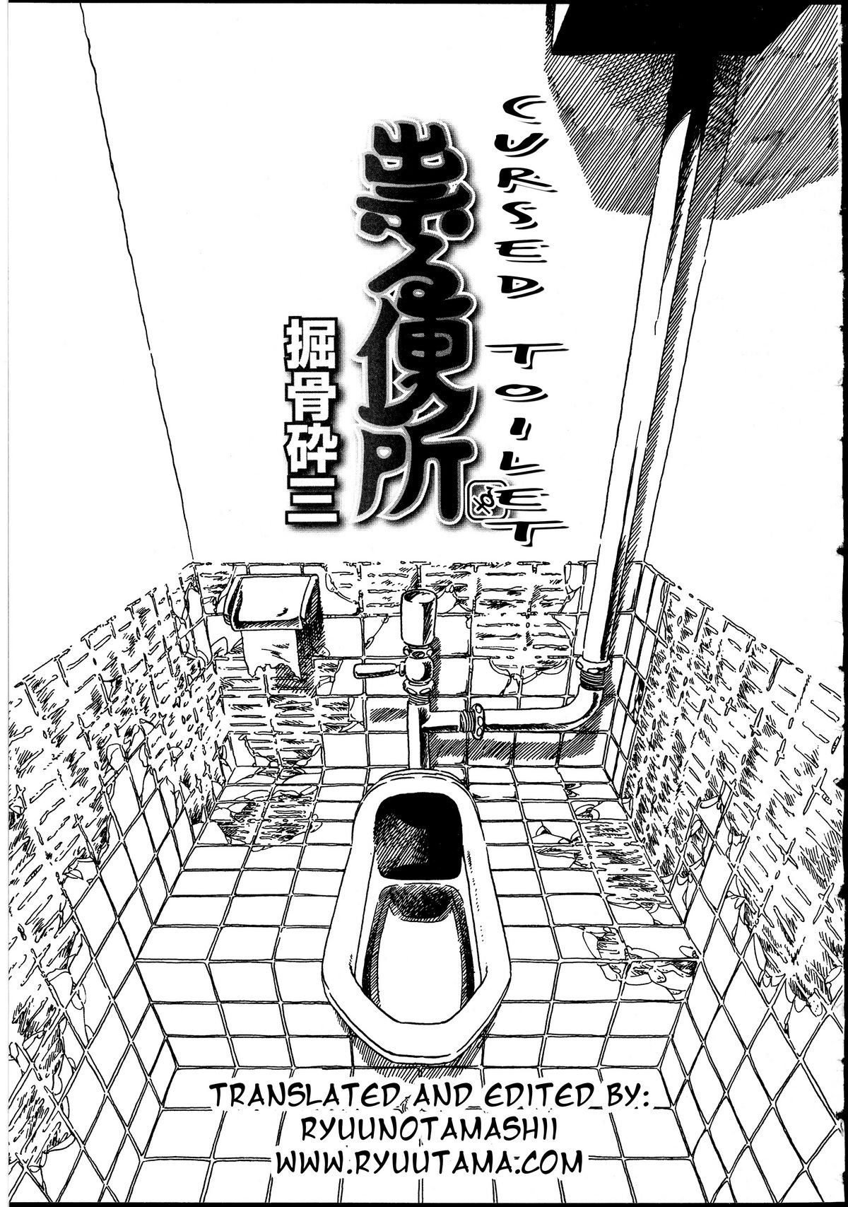 Cursed Toilet cover