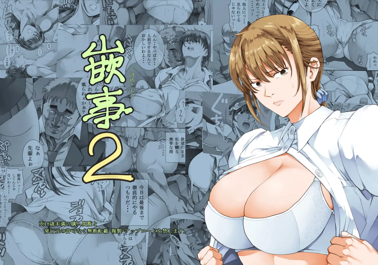 Hamegoto 2 cover