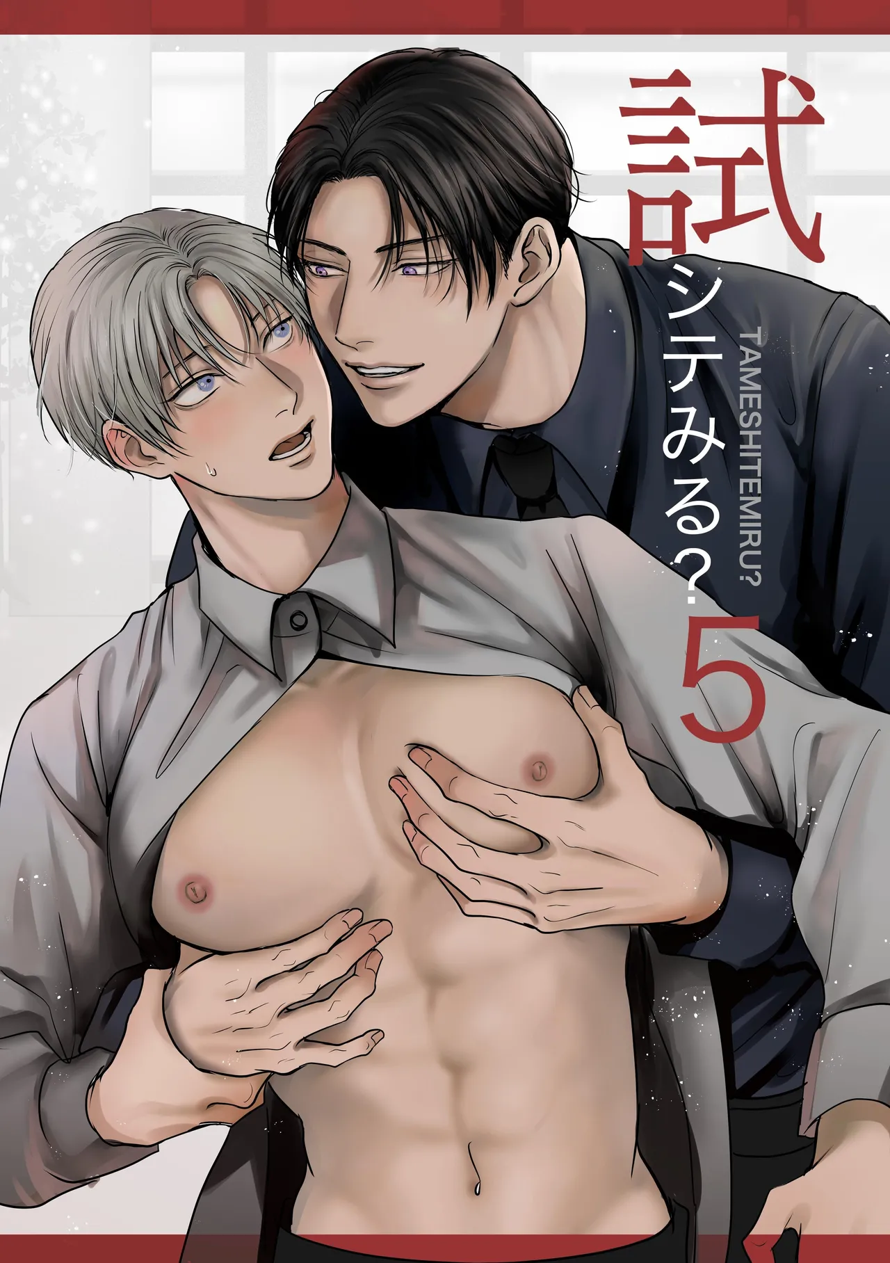 Tameshite Miru? 5 cover