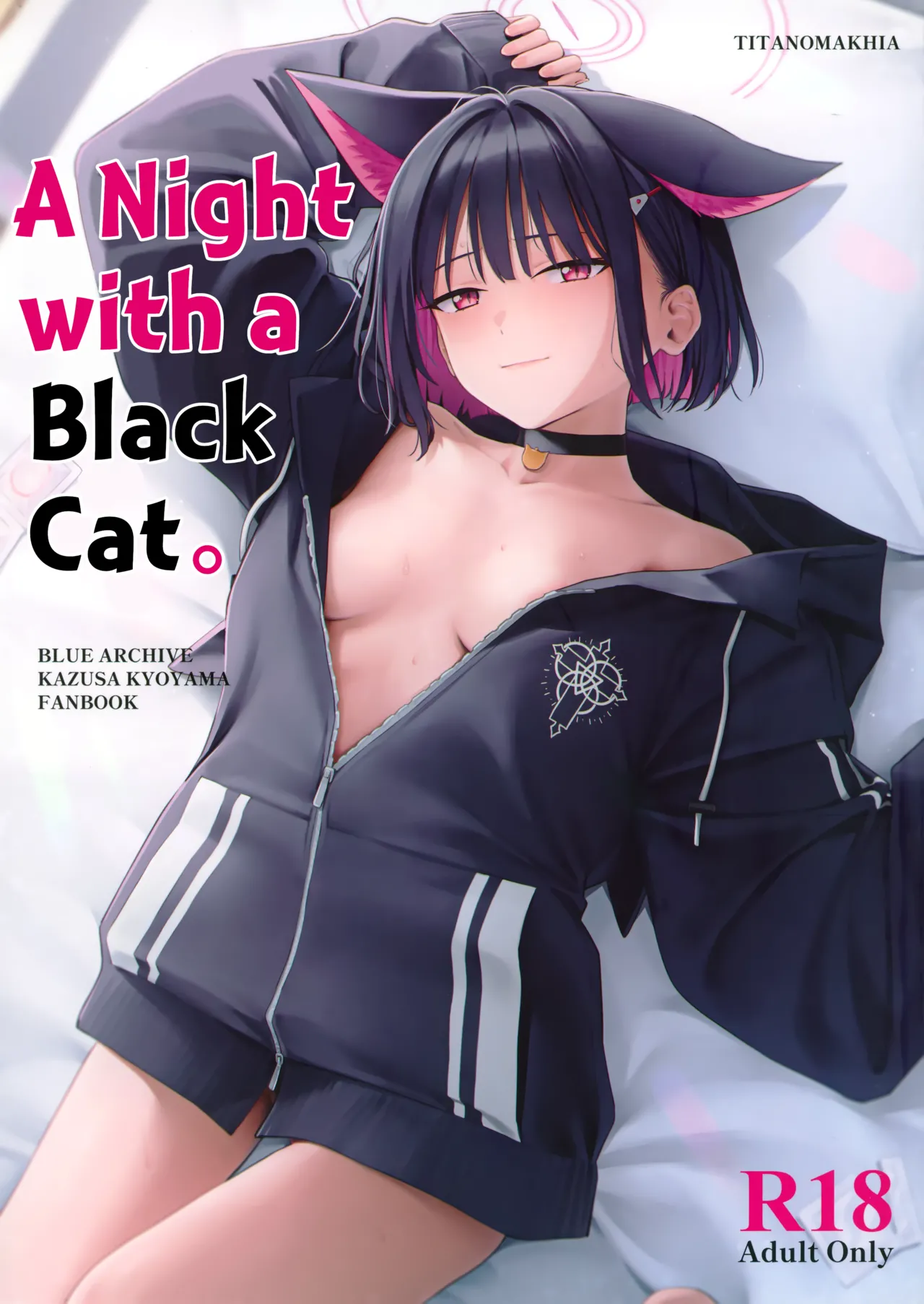 A Night with a Black Cat. cover