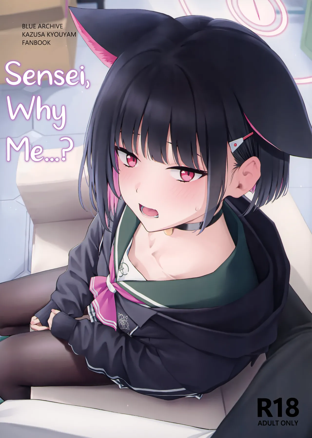 Sensei, Why Me...? cover