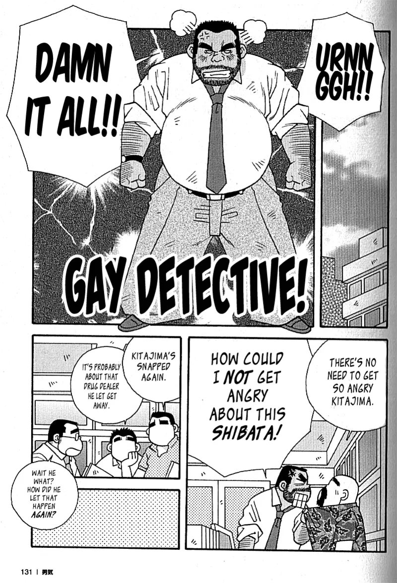 Gay detective cover