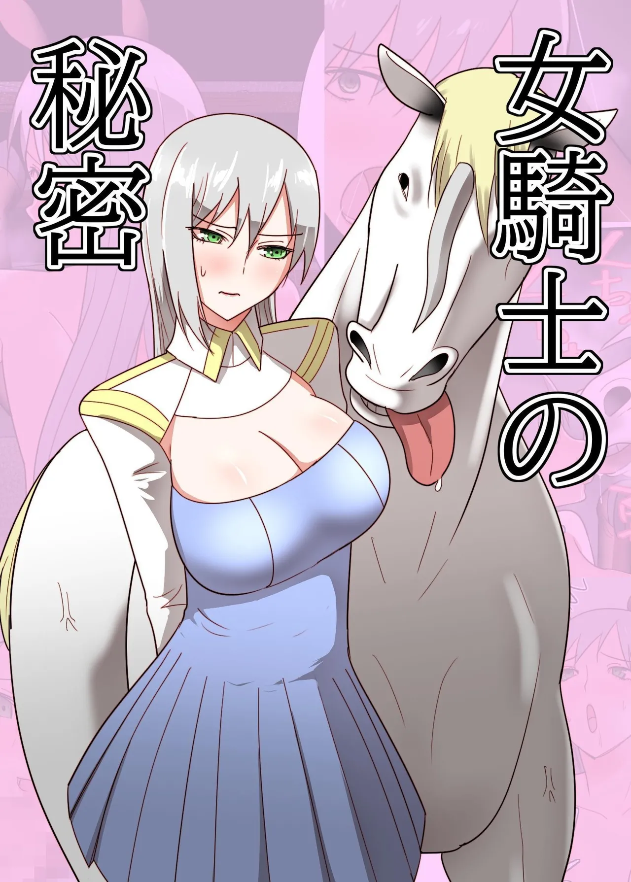 The Secret of a Knightess cover
