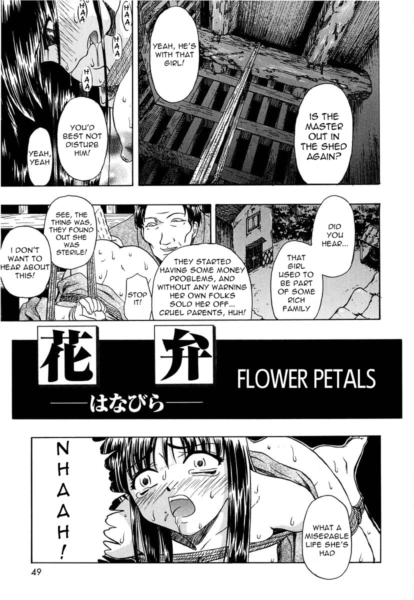 Flower Petals cover