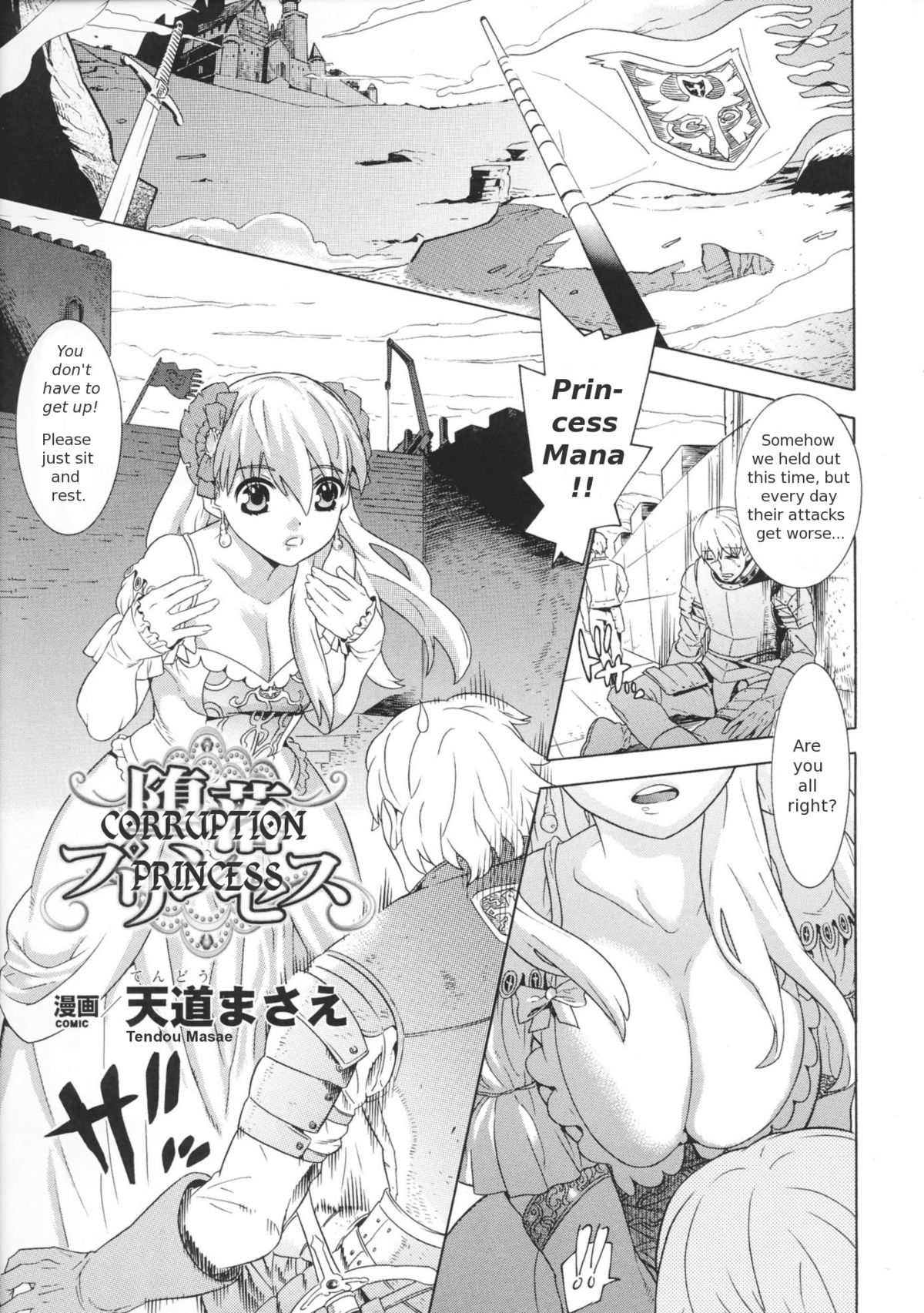 Corruption Princess cover