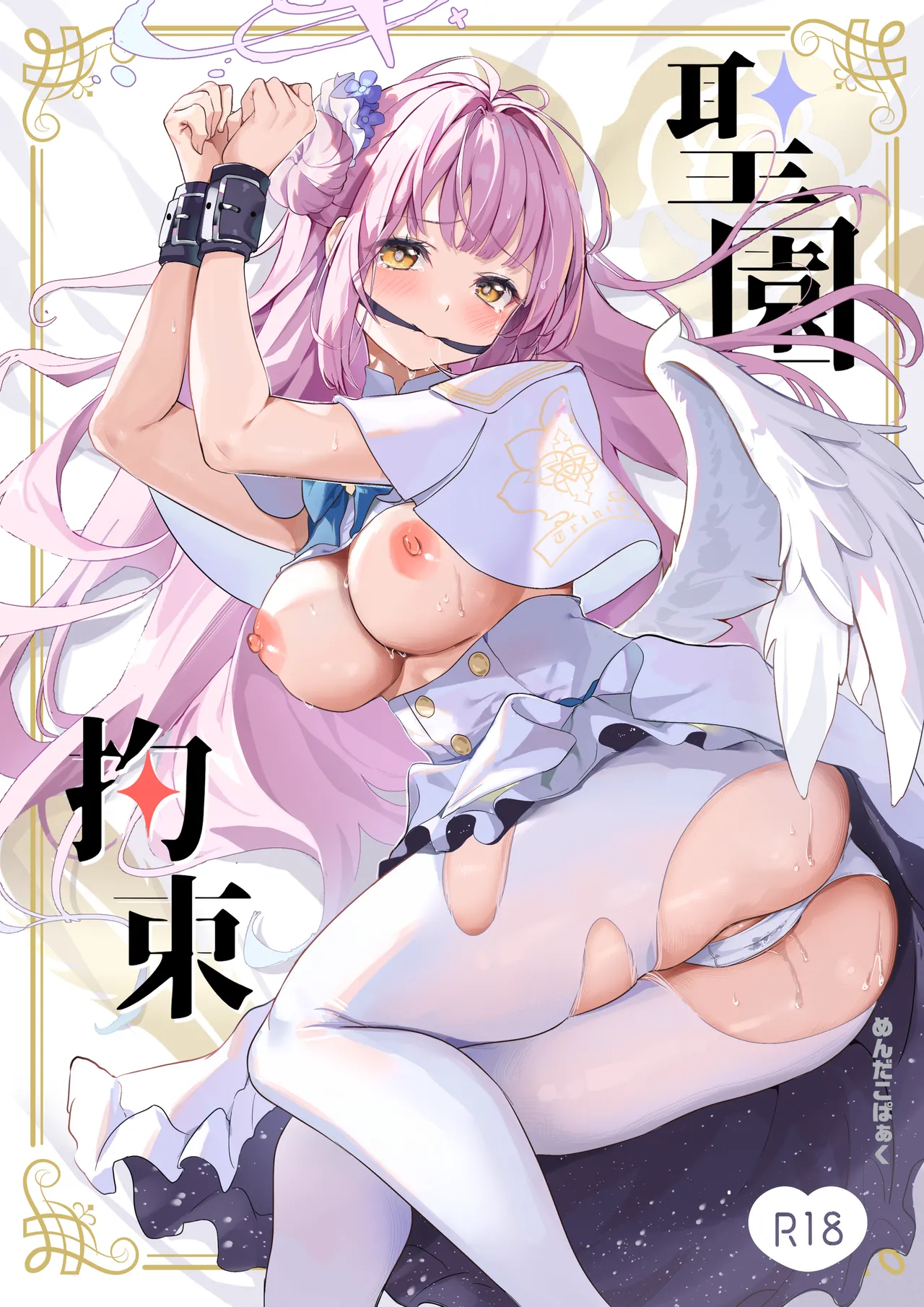 Misono Restraint cover