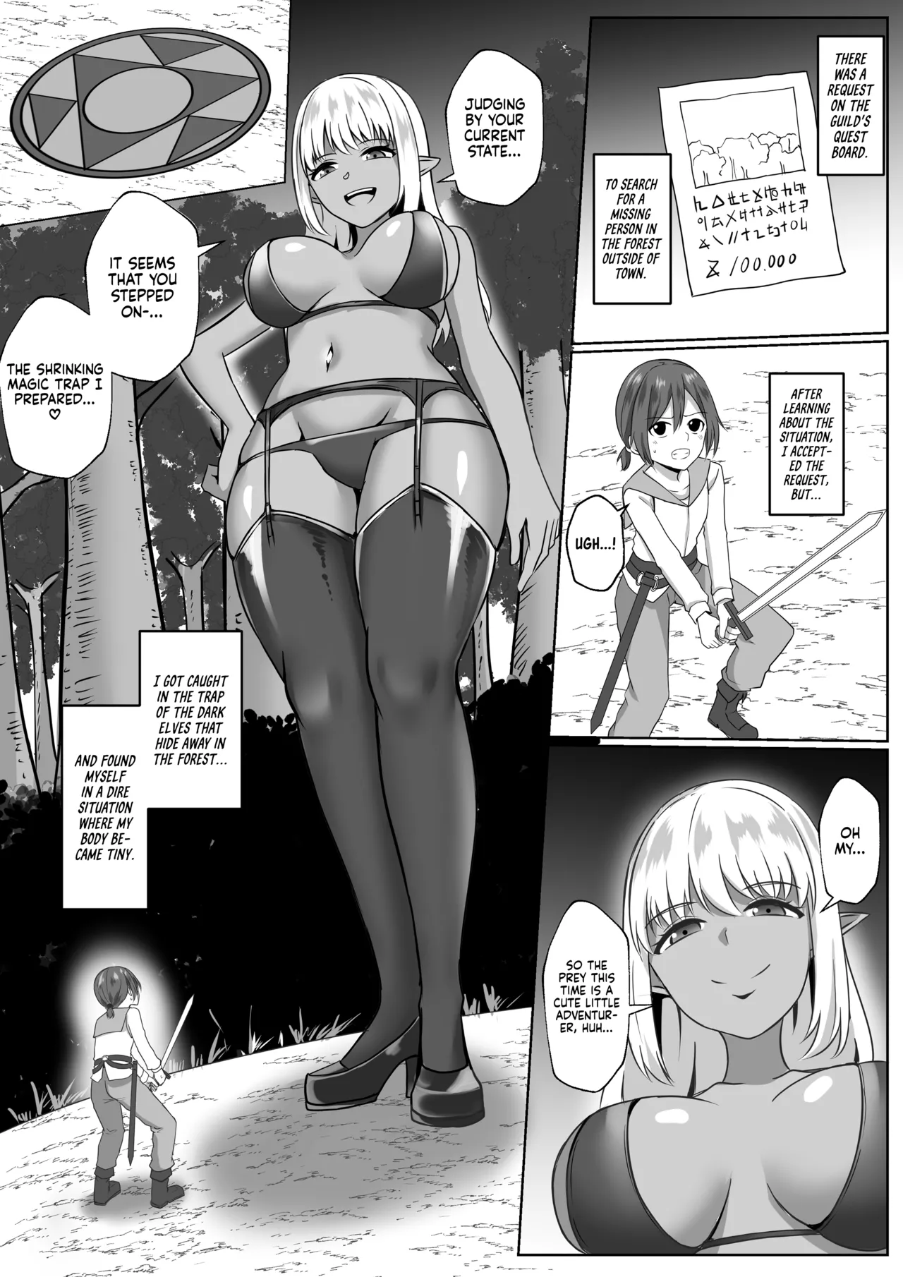 The story about the time I was eaten by an Elf Onee-san cover