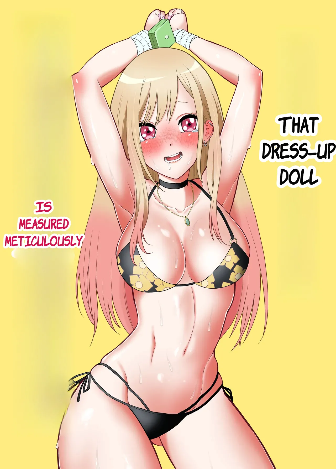 That Dress-Up Doll is Measured Meticulously cover