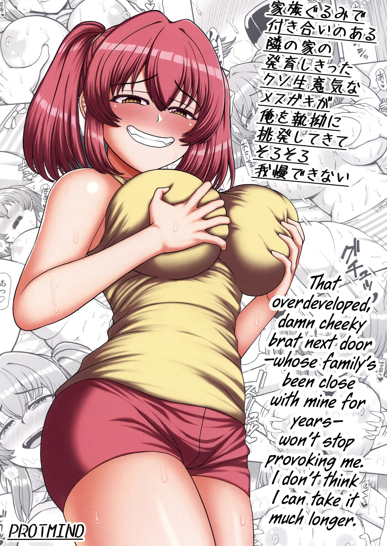 Kazokugurumi de Tsukiai no Aru Tonari no Ie no Hatsuiku shikitta Kuso Namaiki na Mesugaki ga Ore o Shitsuyou ni Chouhatsu shite kite Sorosoro Gaman Dekinai cover