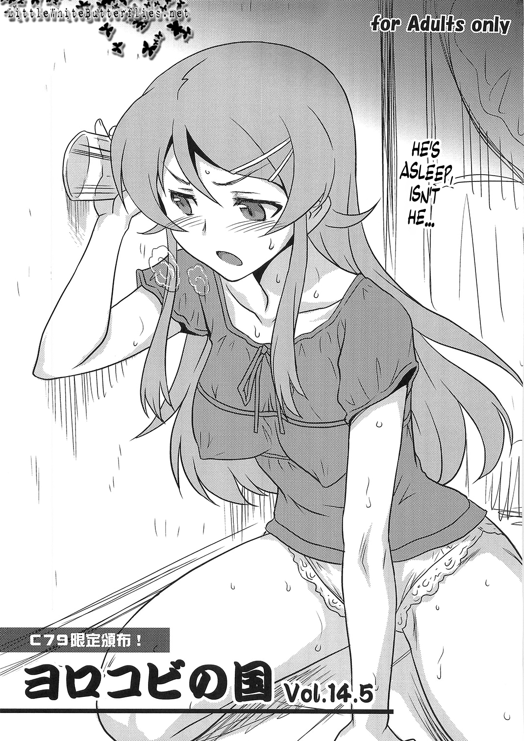 Yorokobi no Kuni 14.5 (Ore no Imouto ga Konna ni Kawaii Wake ga Nai) [English] =LWB= cover