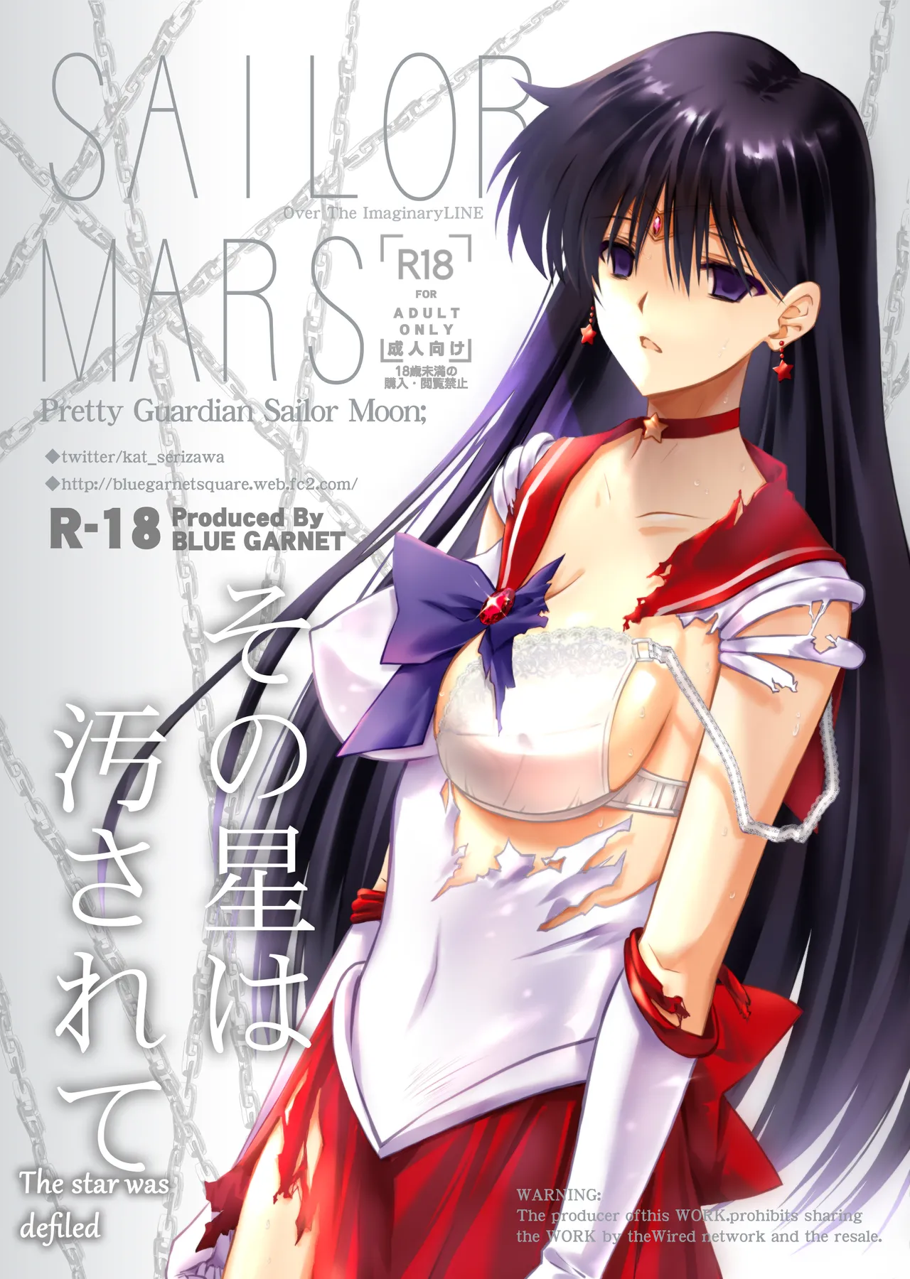The Star was Defiled cover