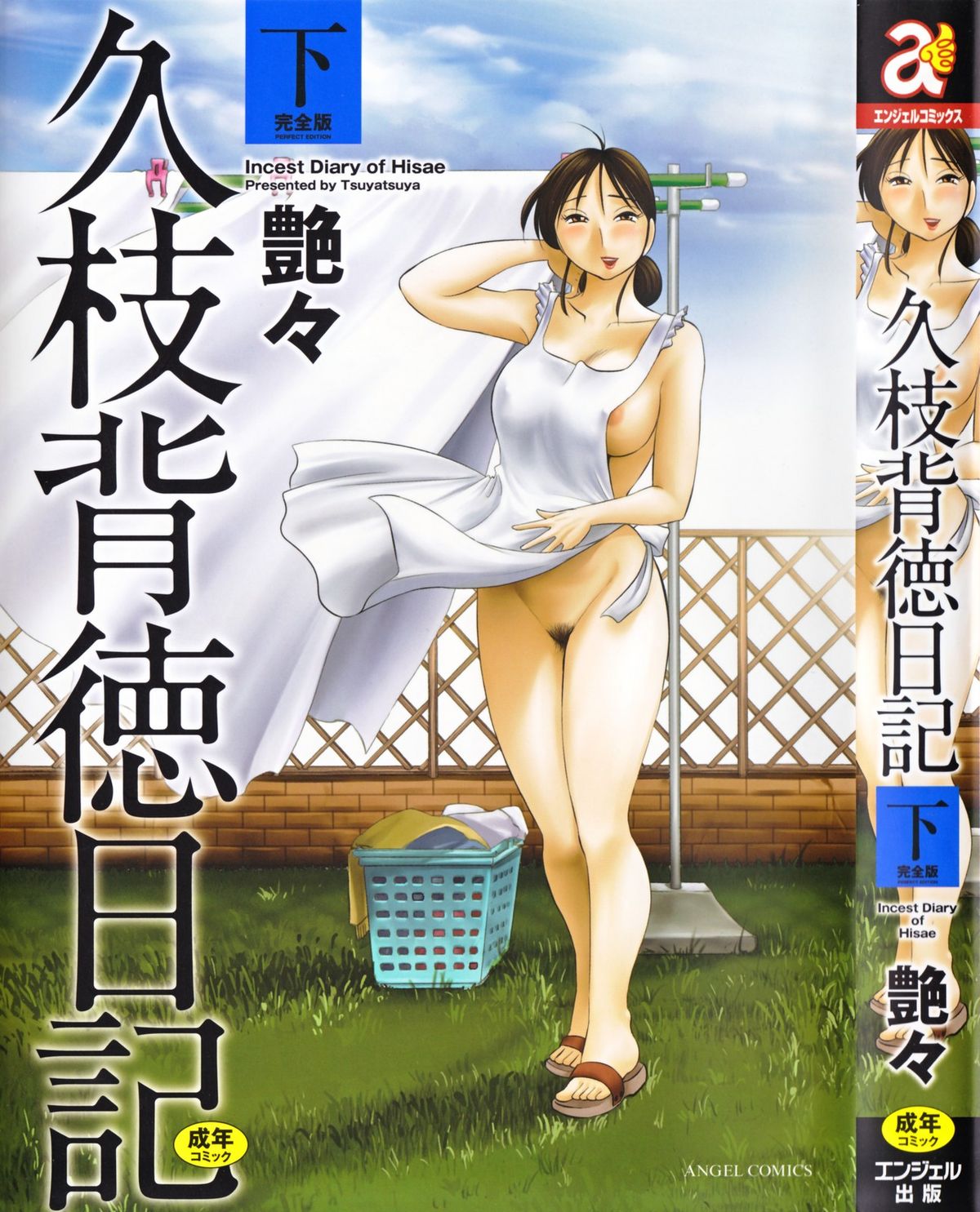 Hisae Haitoku Nikki Kanzenban Ge cover