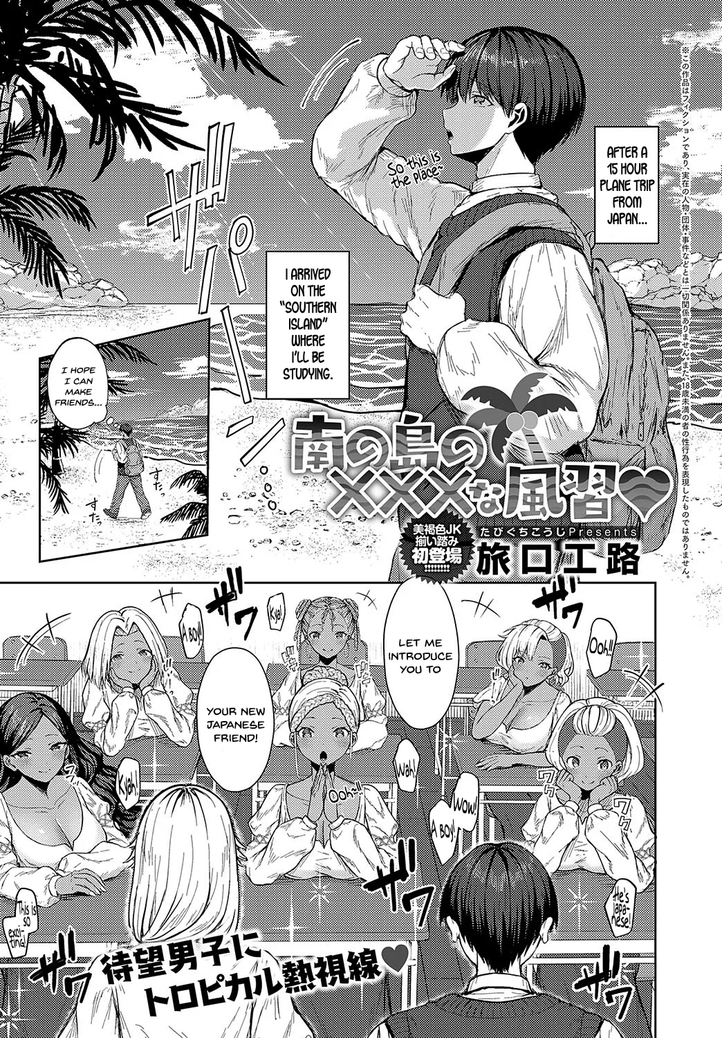 Minami no Shima no XXX na Fuushuu cover