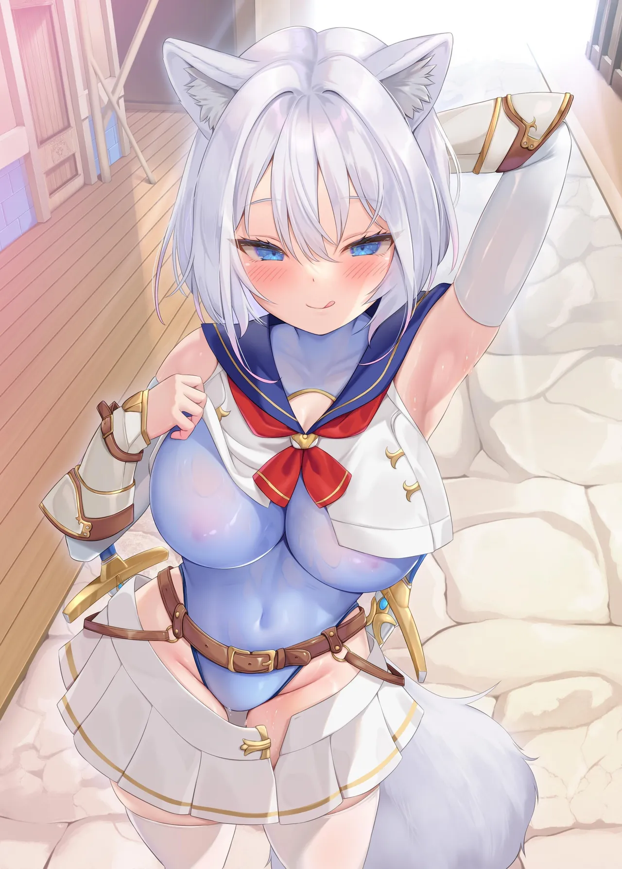 White Wolf Swordswoman's Erotic Adventure cover