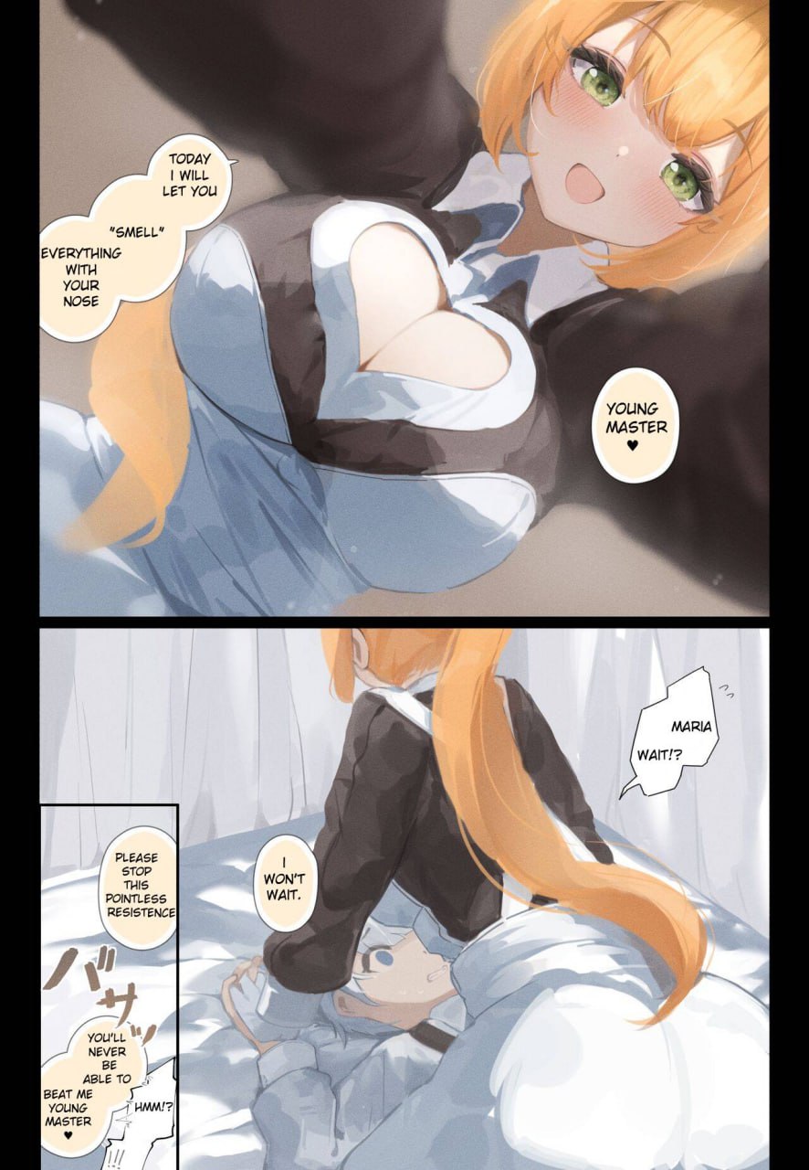 Maid Series Collection cover