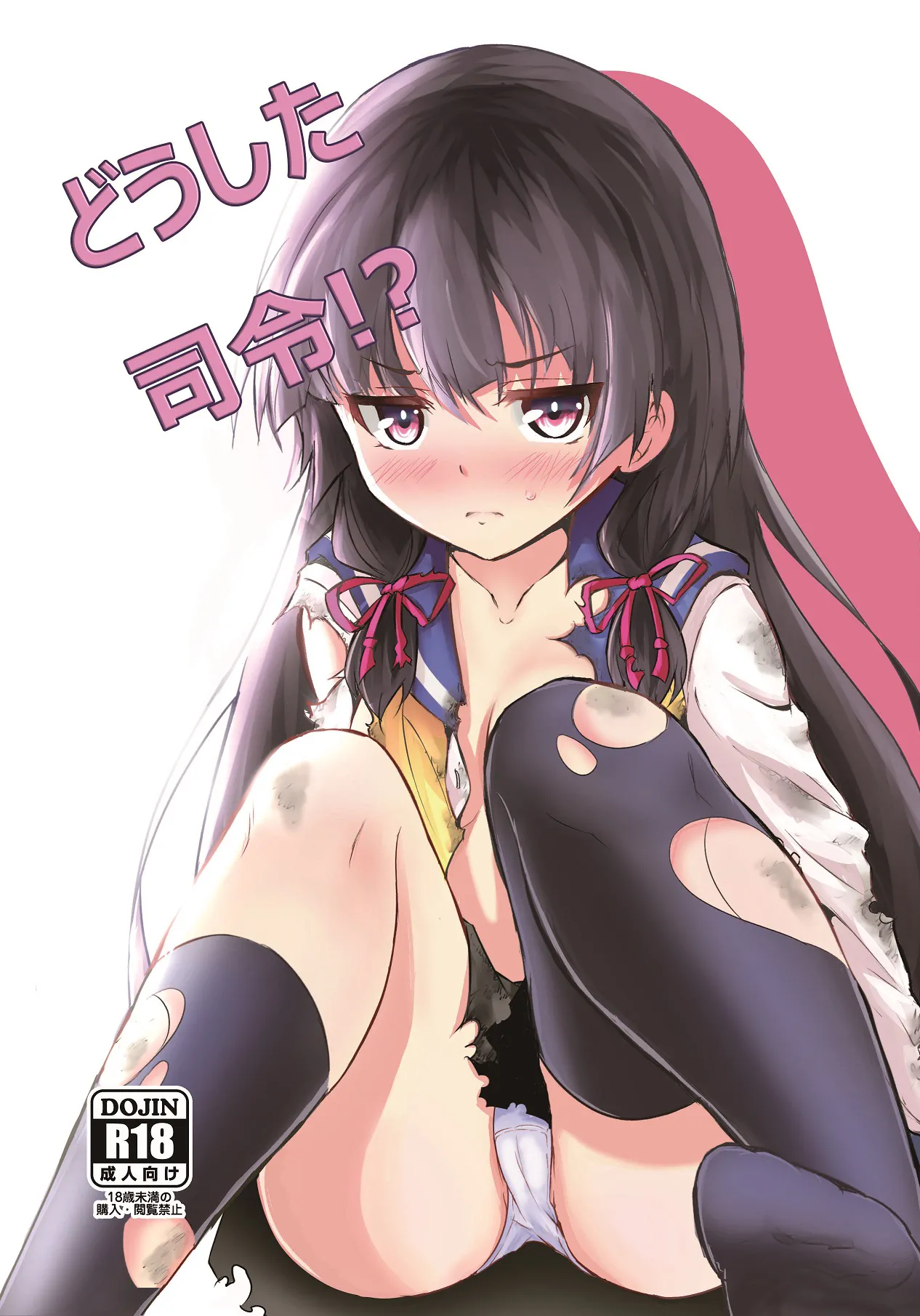 What's Wrong, Admiral?! cover