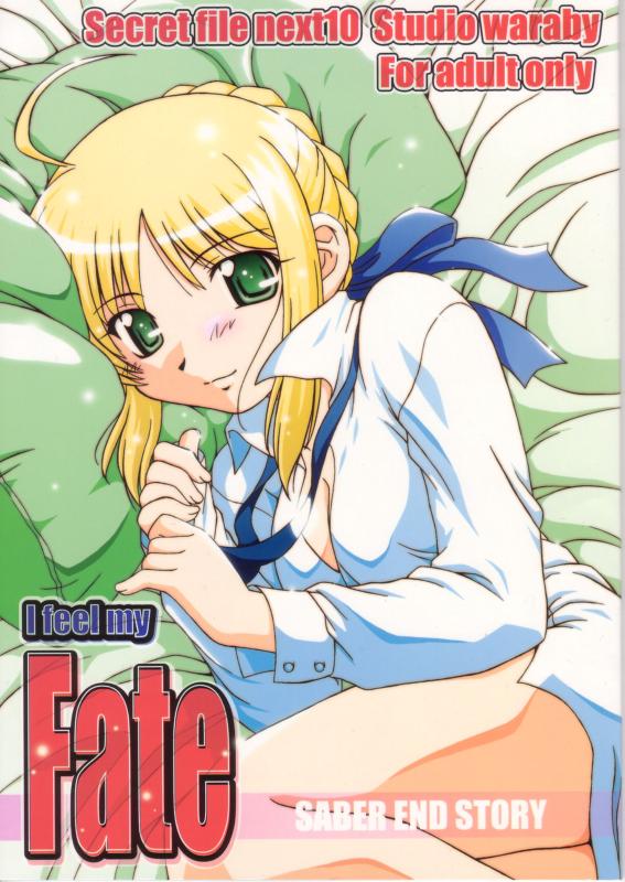 Secret file next 10 I feel my Fate cover