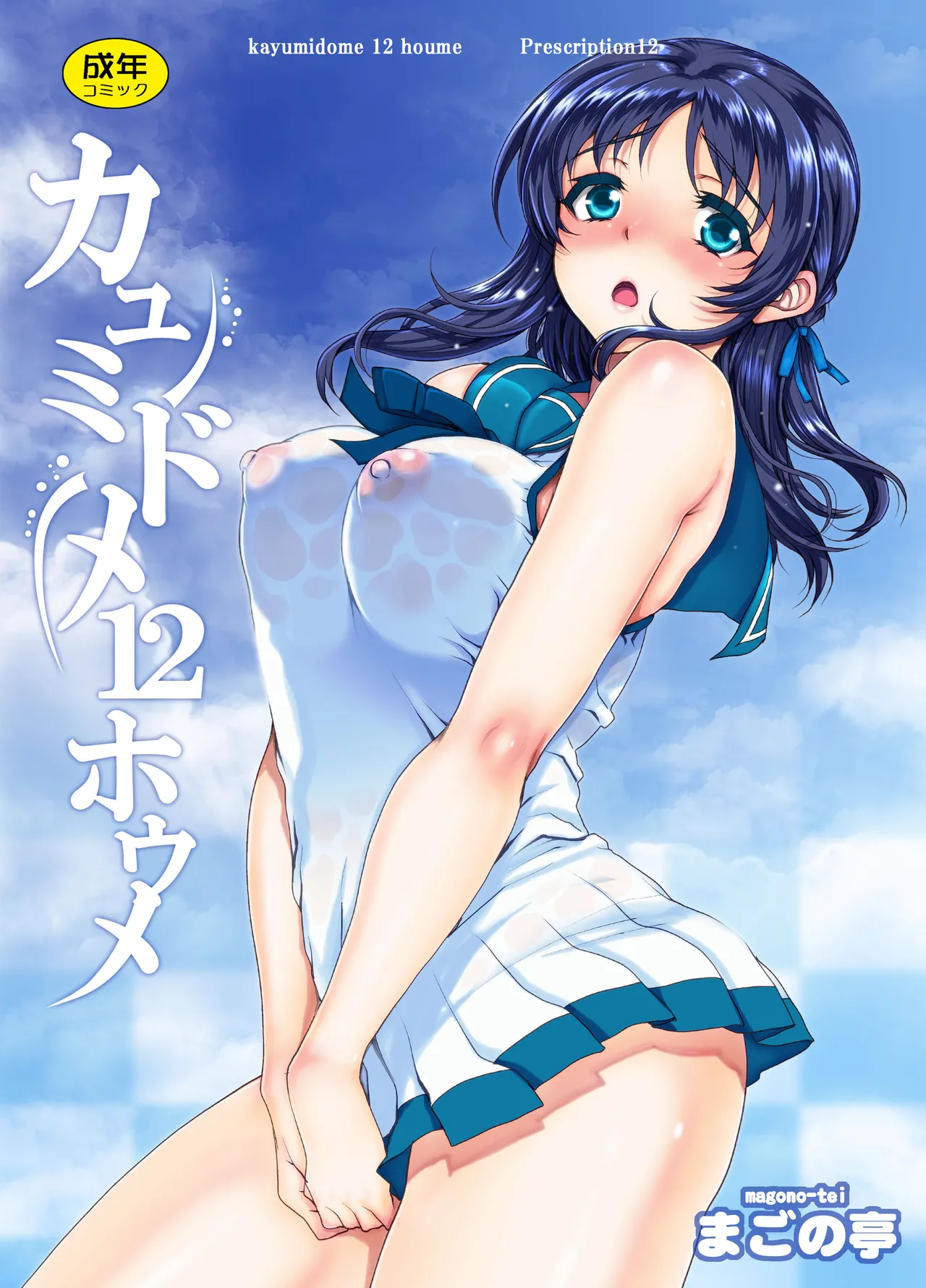 Kayumidome 12 Houme cover
