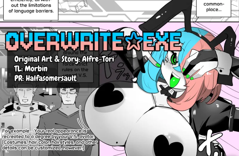 Overwrite.Exe cover