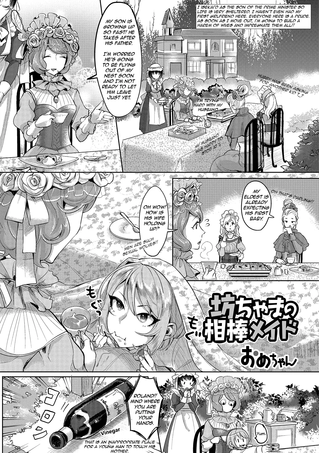 The Young Master’s Partner Maid cover