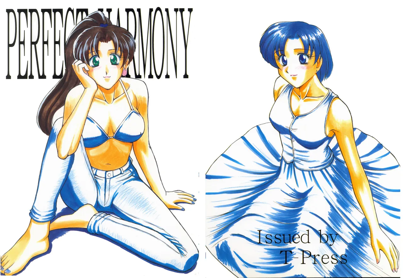 PERFECT HARMONY cover