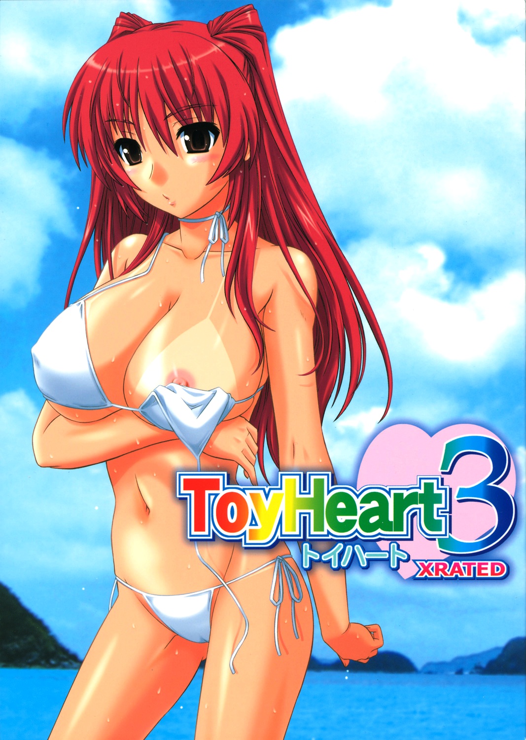 ToyHeart 3 cover
