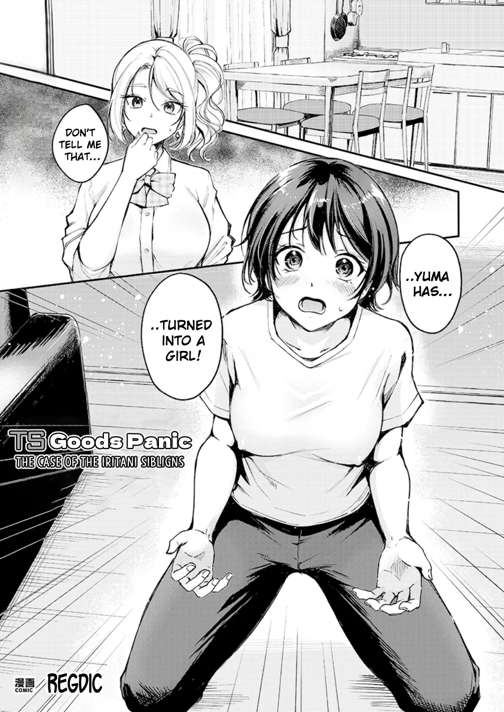 TS Goods Panic ~The Case of the Iritani Siblings~ cover
