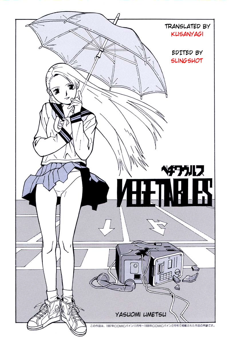 Vegetables cover