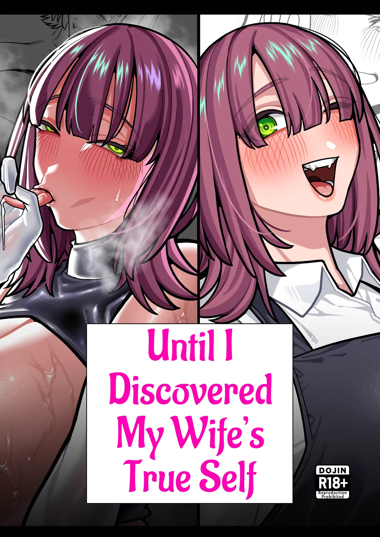 Until I Discovered My Wife's True Self ~Flashback: Naughty Moments with My Wife~ cover