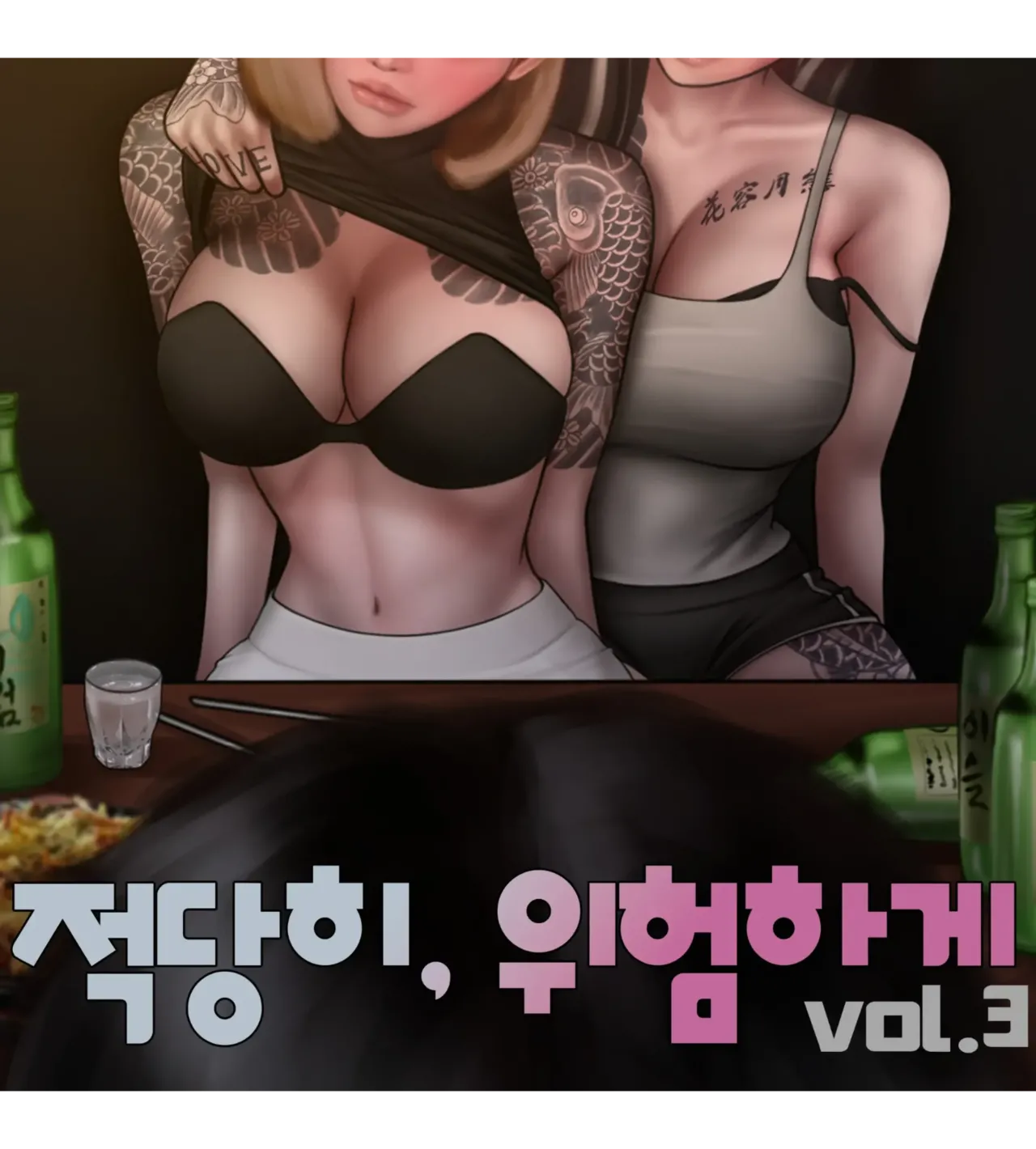 moderately risky 3 cover