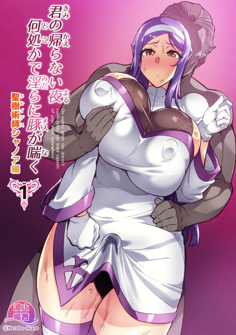 Kimi ga Kaeranai Yoru Dokoka de Midara ni Buta ga Aeku Ch. 1-4 cover