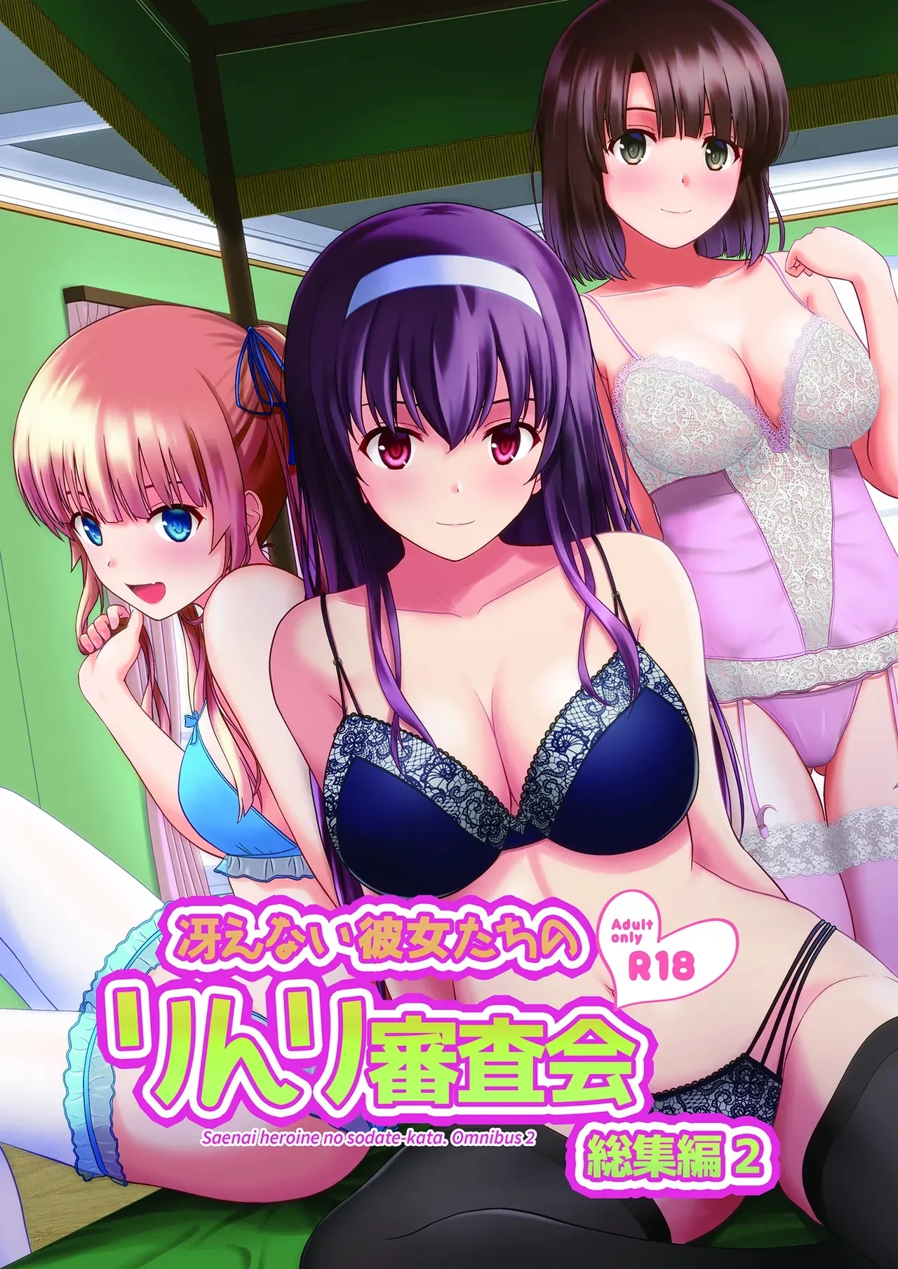 Saenai Kanojo-tachi no Rinri Shinsakai Soushuuhen 2 cover