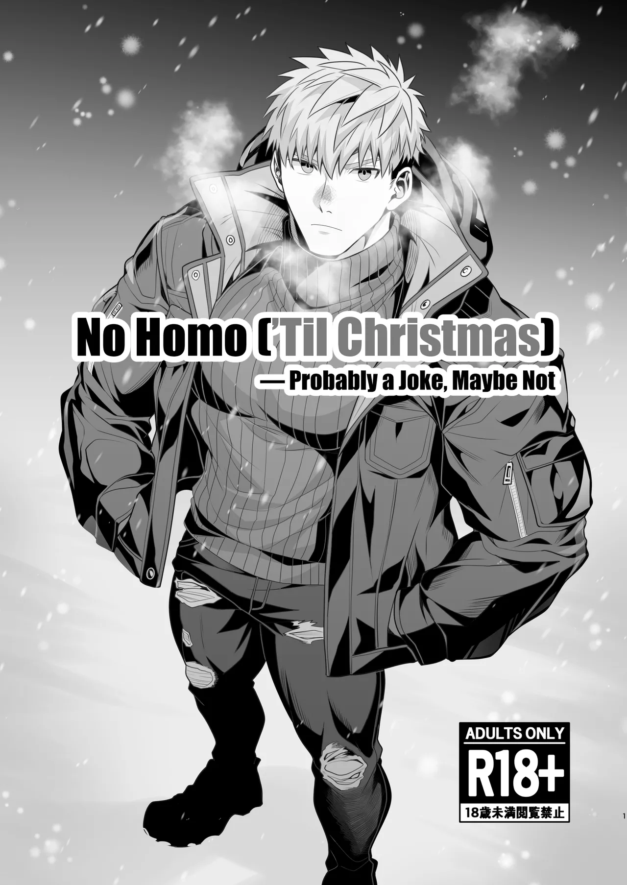 No Homo (’Til Christmas)— Probably a Joke Maybe Not cover