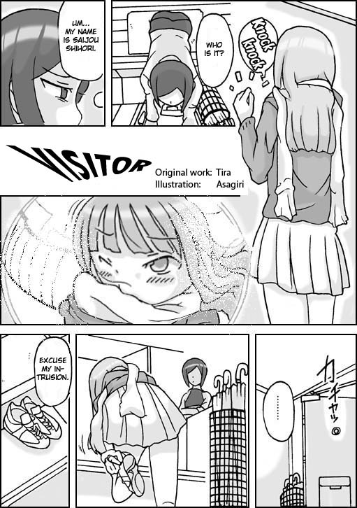 Visitor english cover