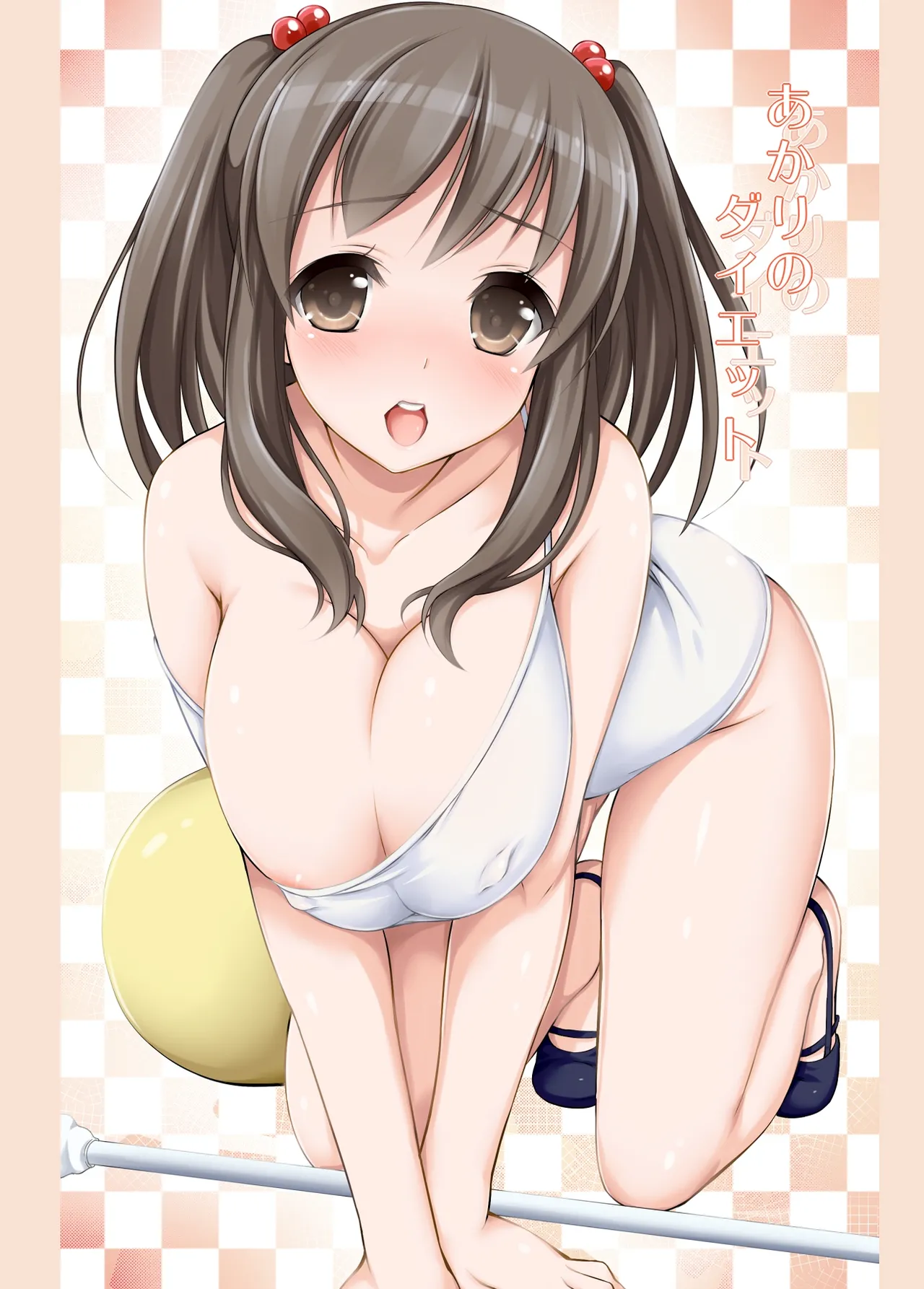 Akari no Diet cover