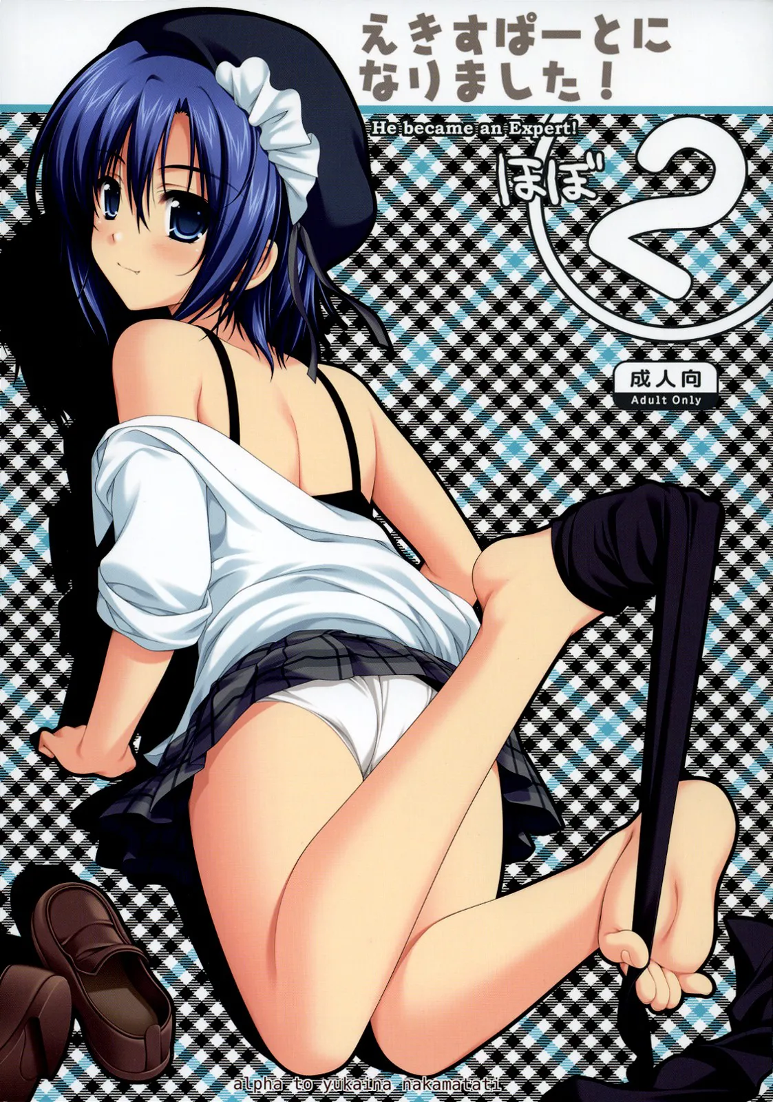 Expert ni Narimashita! Hobo 2 cover