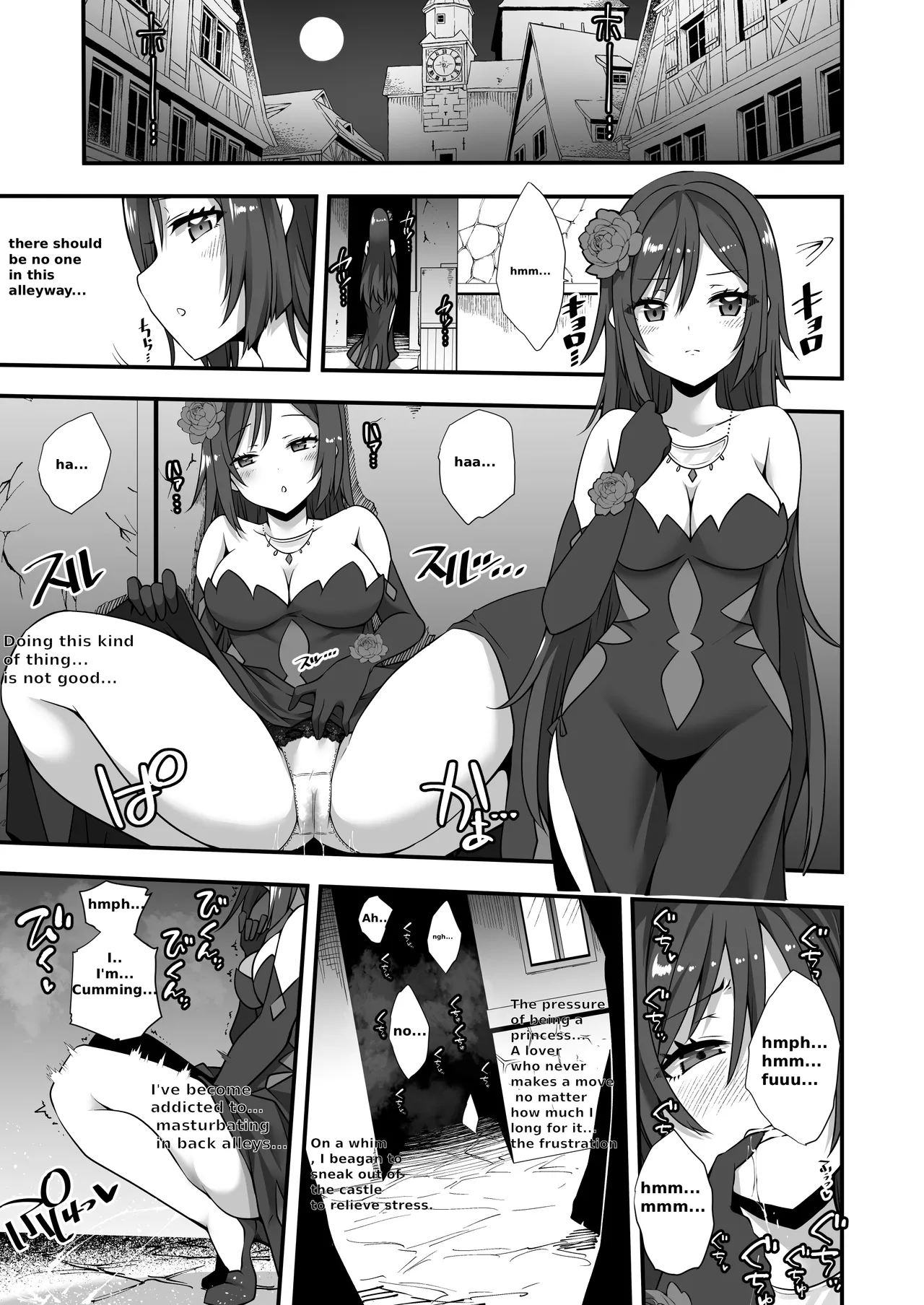 A manga about the moon shrine maiden escaping from the castle in the middle of the night and causing chaos cover